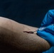 Iron Fist 23 blood transfusion training
