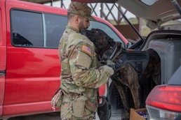 Military working dog and his handler clear vehicles at check point