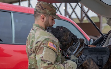 From fear to love: a military working dog’s story