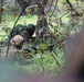 13th MEU Conducts Air Assault with Fuzileiros