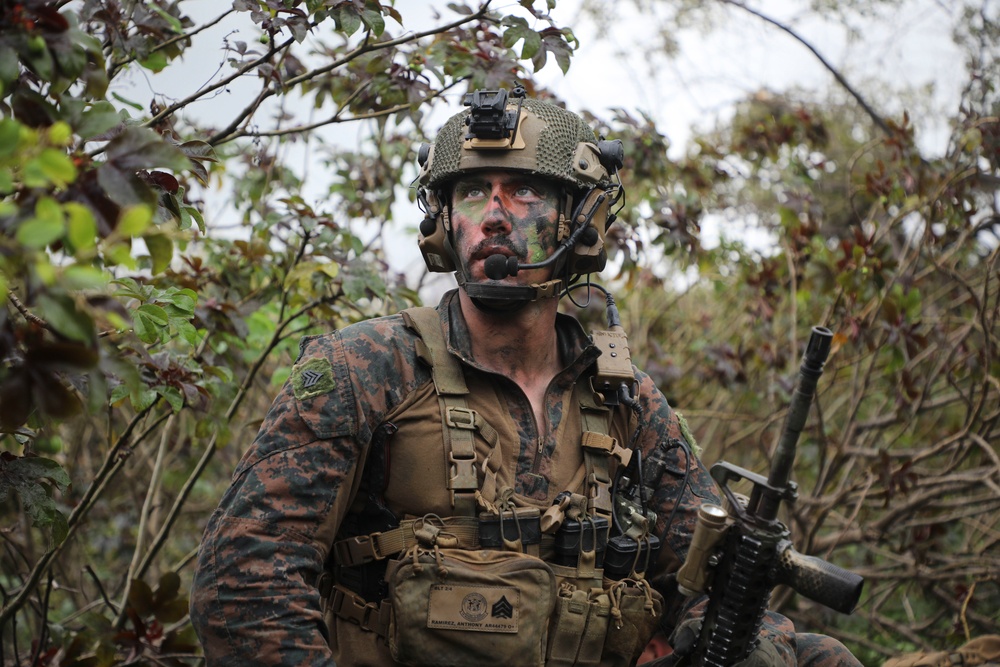 13th MEU Conducts Air Assault with Fuzileiros