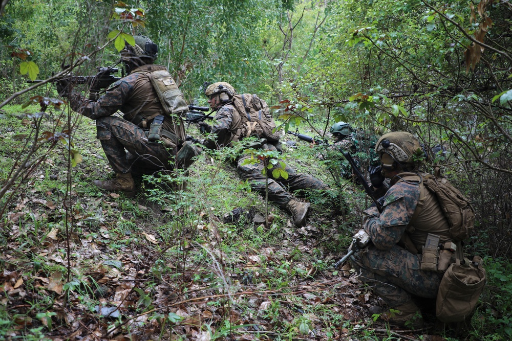 13th MEU Conducts Air Assault with Fuzileiros