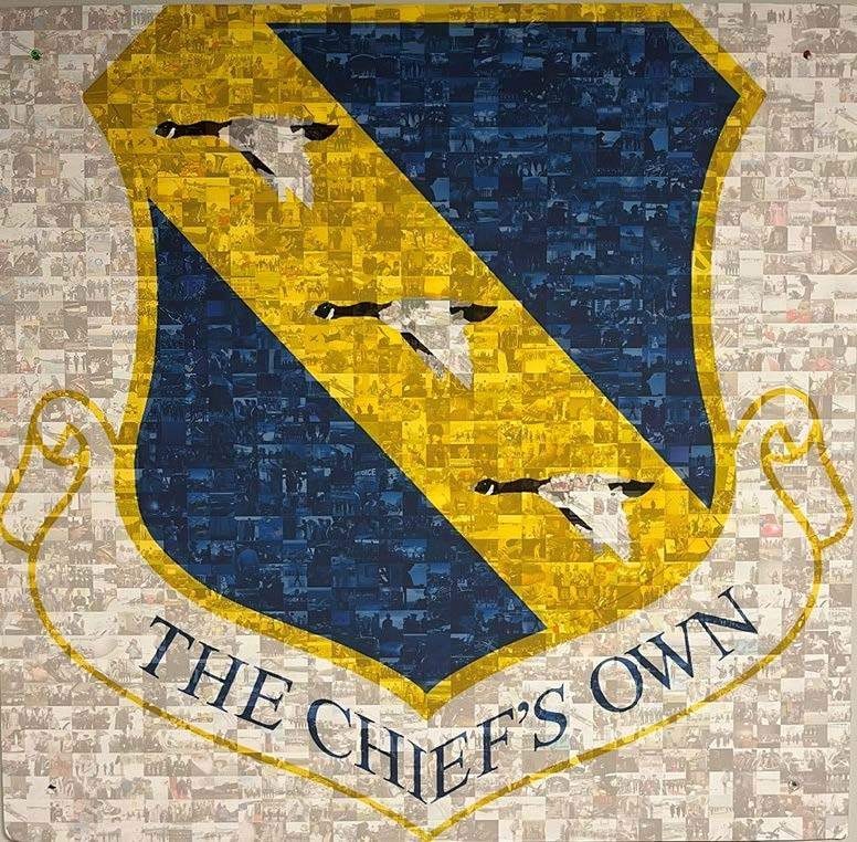 11th Wing Chief's Own Graphic Shield