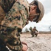 U.S. Marines with Combat Logistics regiment 27 Conduct Demolition Range During Maritime Pre-Positioning Force Exercise (MPFEX) 23