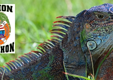 U.S. Coast Guard Station Marathon