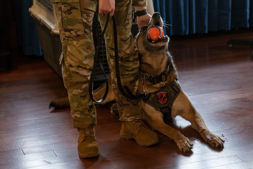 MWDs Kliff, Afrika retire to life of toys, treats