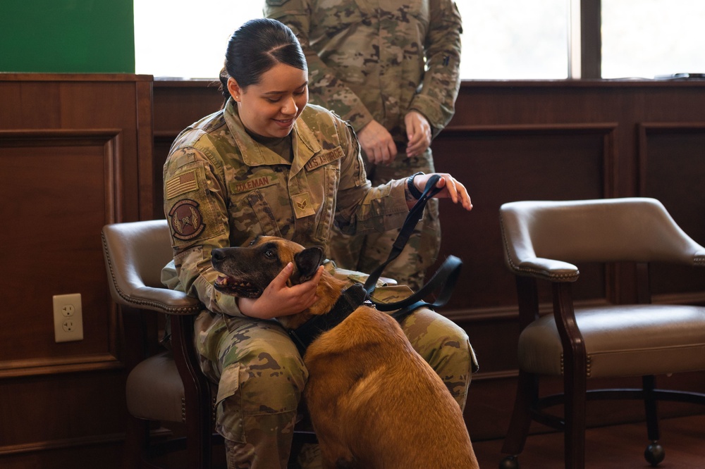 MWDs Kliff, Afrika retire to life of toys, treats