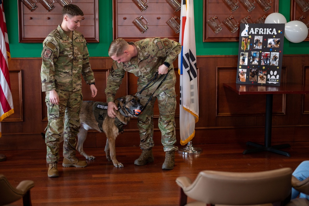 MWDs Kliff, Afrika retire to life of toys, treats