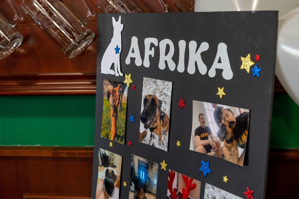 MWDs Kliff, Afrika retire to life of toys, treats