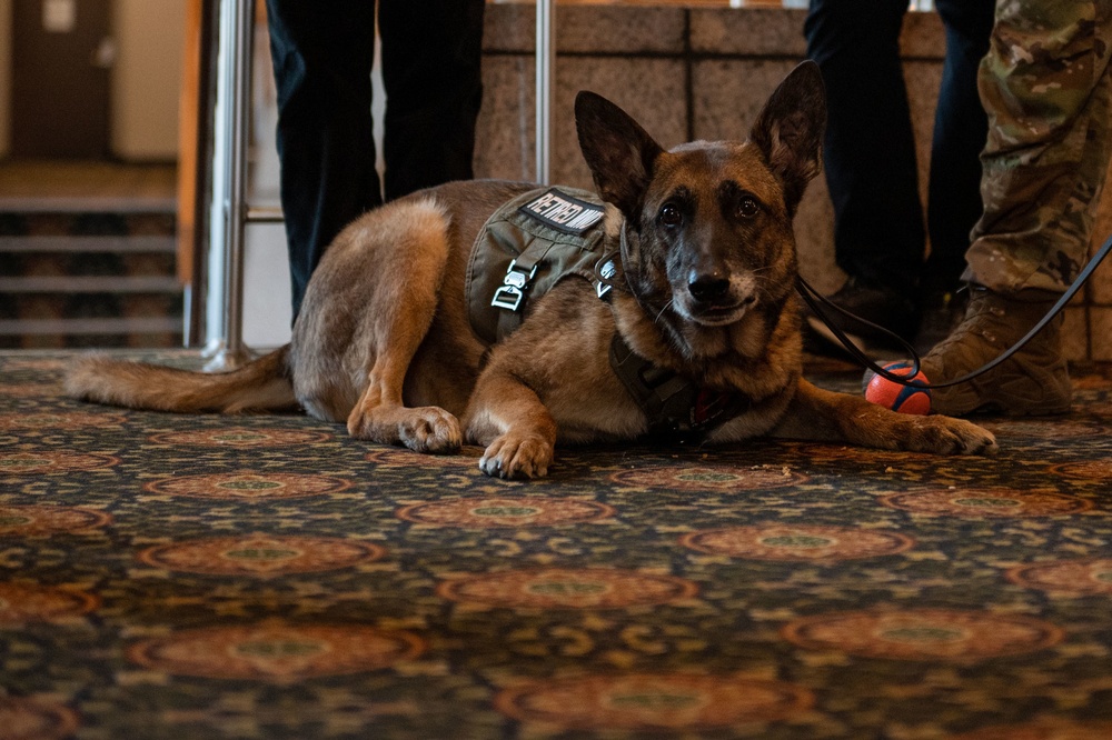 MWDs Kliff, Afrika retire to life of toys, treats