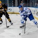 USAFA Hockey vs American International College 2023