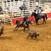 San Antonio Stock Show and Rodeo hosts military appreciation night