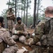 UAE and U.S. troops live fire at JRTC
