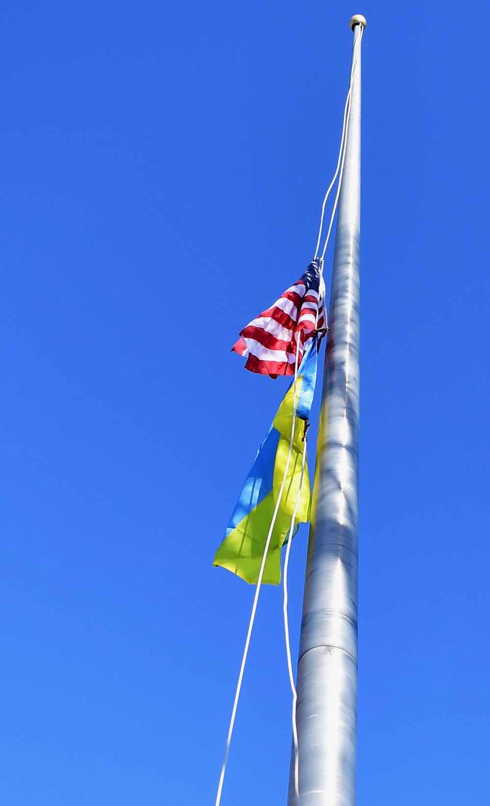 US and Ukraine flags fly in Solidarity