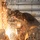 Under the Hood: Ordnance Chief Enlisted Career Manager Visits Ft. Riley Under the Hood: Ordnance Chief Enlisted Career Manager Visits Ft. Riley