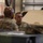 Under the Hood: Ordnance Chief Enlisted Career Manager Visits Ft. Riley Under the Hood: Ordnance Chief Enlisted Career Manager Visits Ft. Riley