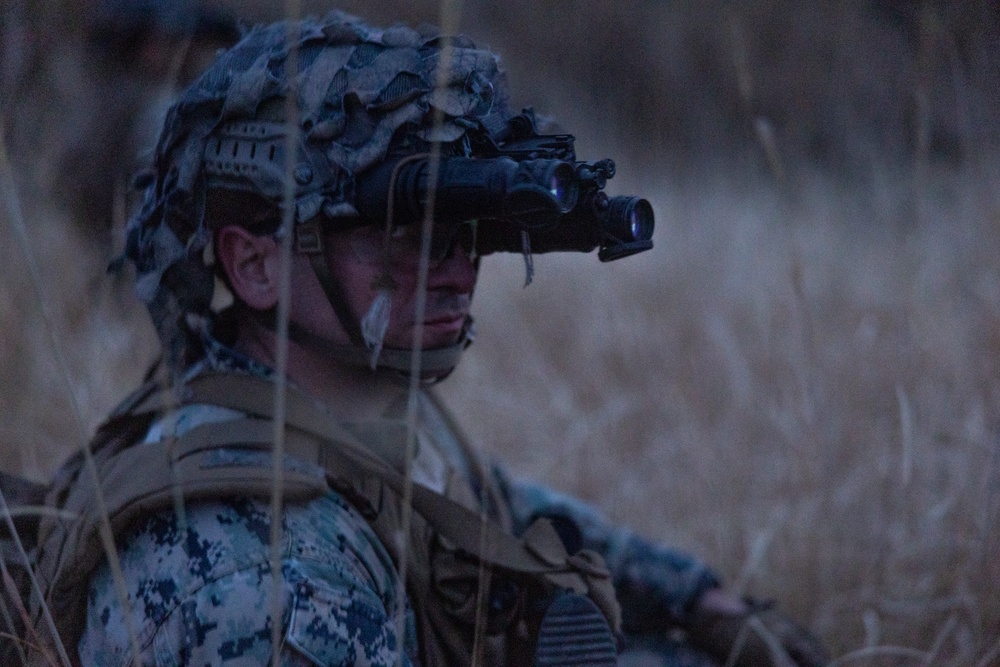 Iron Fist 23 night live fire