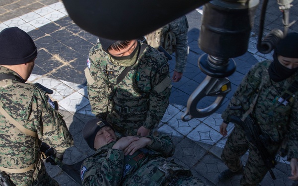 ROK SWK MED101 Hoist Training