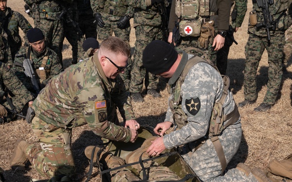 ROK SWK MED101 Hoist Training