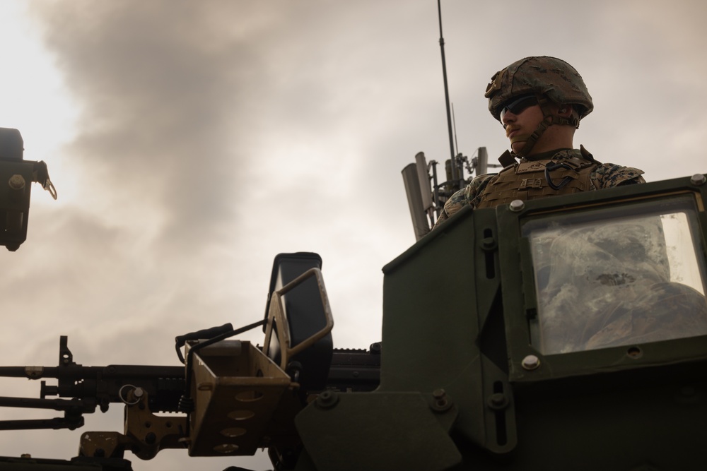 MSB | Machine Gun Live Fire
