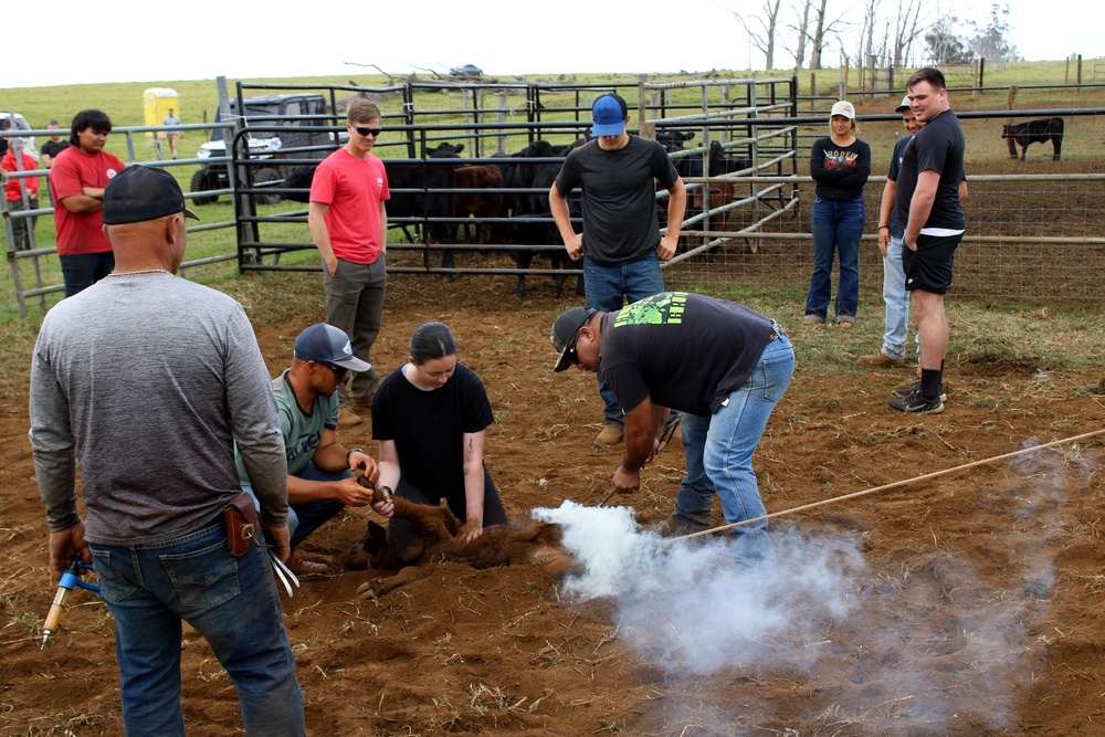 SOLDIERS GET A TASTE OF THE PANIOLO LIFESTYLE AT HO’ILINA RANCH