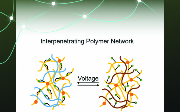 Materially Responsive