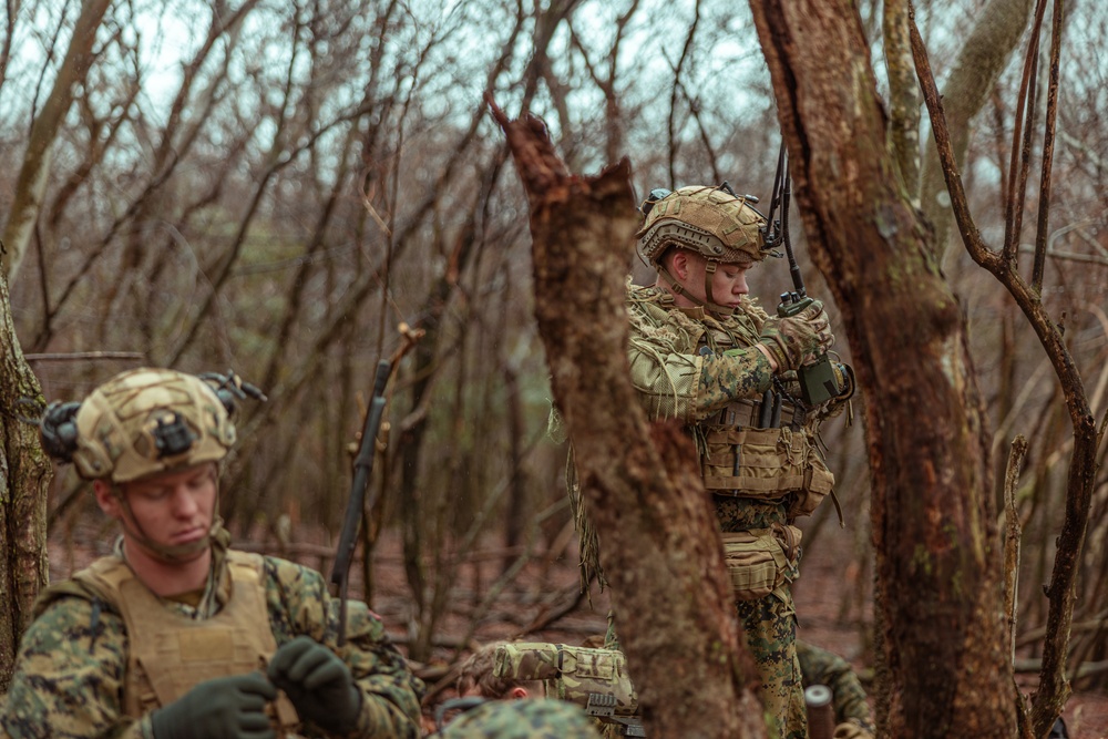 Iron Fist 23 Bi-lateral Live Fire Training