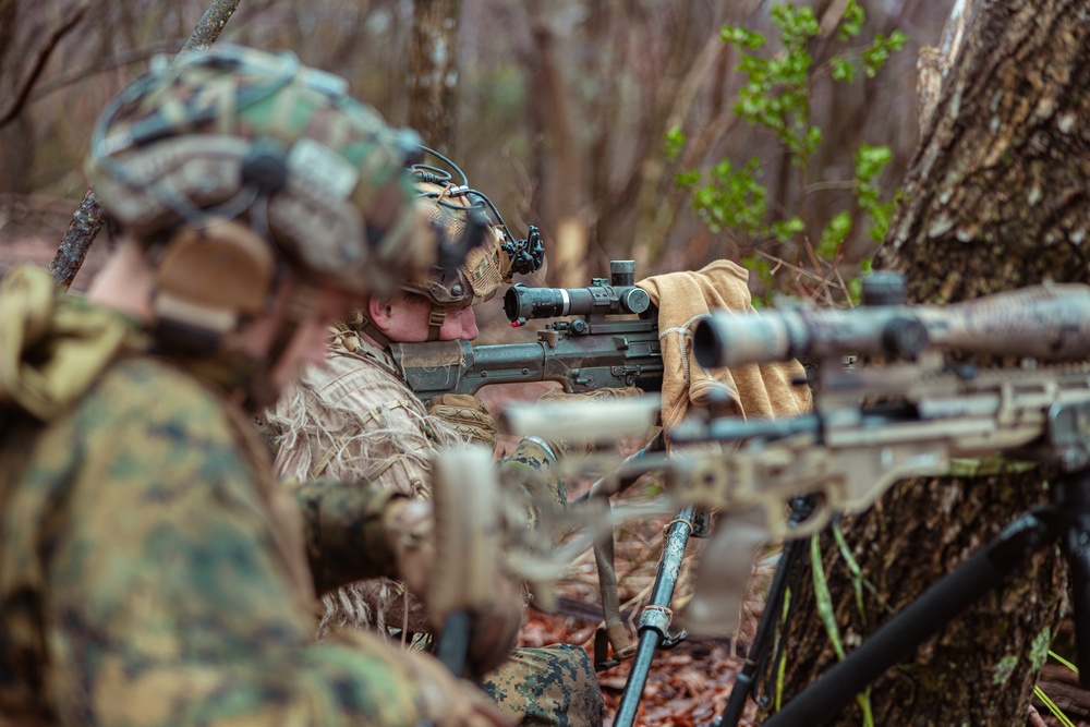 Iron Fist 23 Bi-lateral Live Fire Training