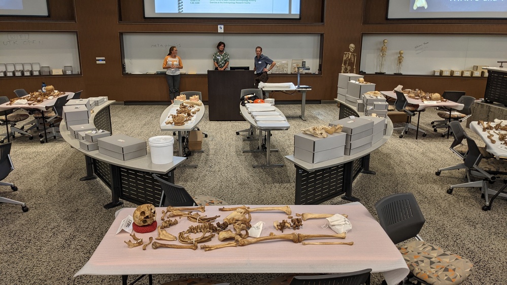 Mortuary personnel enhance knowledge of human bones at osteology course