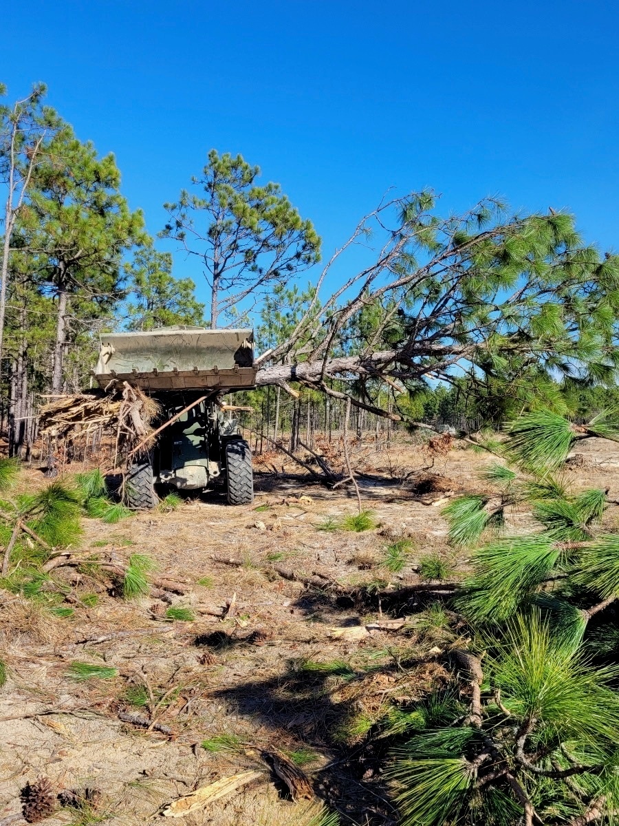 Collaborative efforts help restore training land