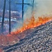 Fort McCoy holds 2023’s first prescribed burn at installation