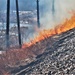 Fort McCoy holds 2023’s first prescribed burn at installation