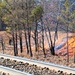 Fort McCoy holds 2023’s first prescribed burn at installation