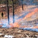 Fort McCoy holds 2023’s first prescribed burn at installation