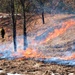 Fort McCoy holds 2023’s first prescribed burn at installation