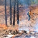 Fort McCoy holds 2023’s first prescribed burn at installation