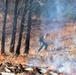 Fort McCoy holds 2023’s first prescribed burn at installation