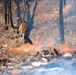 Fort McCoy holds 2023’s first prescribed burn at installation