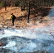 Fort McCoy holds 2023’s first prescribed burn at installation