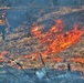 Fort McCoy holds 2023’s first prescribed burn at installation