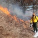 Fort McCoy holds 2023’s first prescribed burn at installation