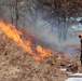 Fort McCoy holds 2023’s first prescribed burn at installation