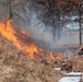 Fort McCoy holds 2023’s first prescribed burn at installation