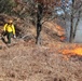 Fort McCoy holds 2023’s first prescribed burn at installation