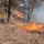 Fort McCoy holds 2023’s first prescribed burn at installation Fort McCoy holds 2023’s first prescribed burn at installation