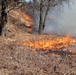 Fort McCoy holds 2023’s first prescribed burn at installation