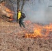 Fort McCoy holds 2023’s first prescribed burn at installation