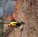 Fort McCoy holds 2023’s first prescribed burn at installation