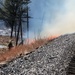 Fort McCoy holds 2023’s first prescribed burn at installation