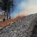 Fort McCoy holds 2023’s first prescribed burn at installation